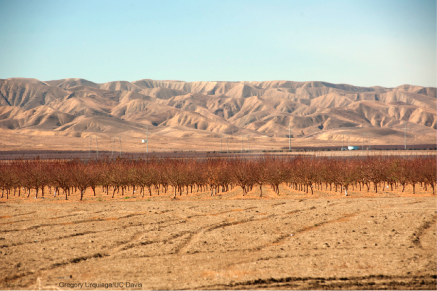 cal drought